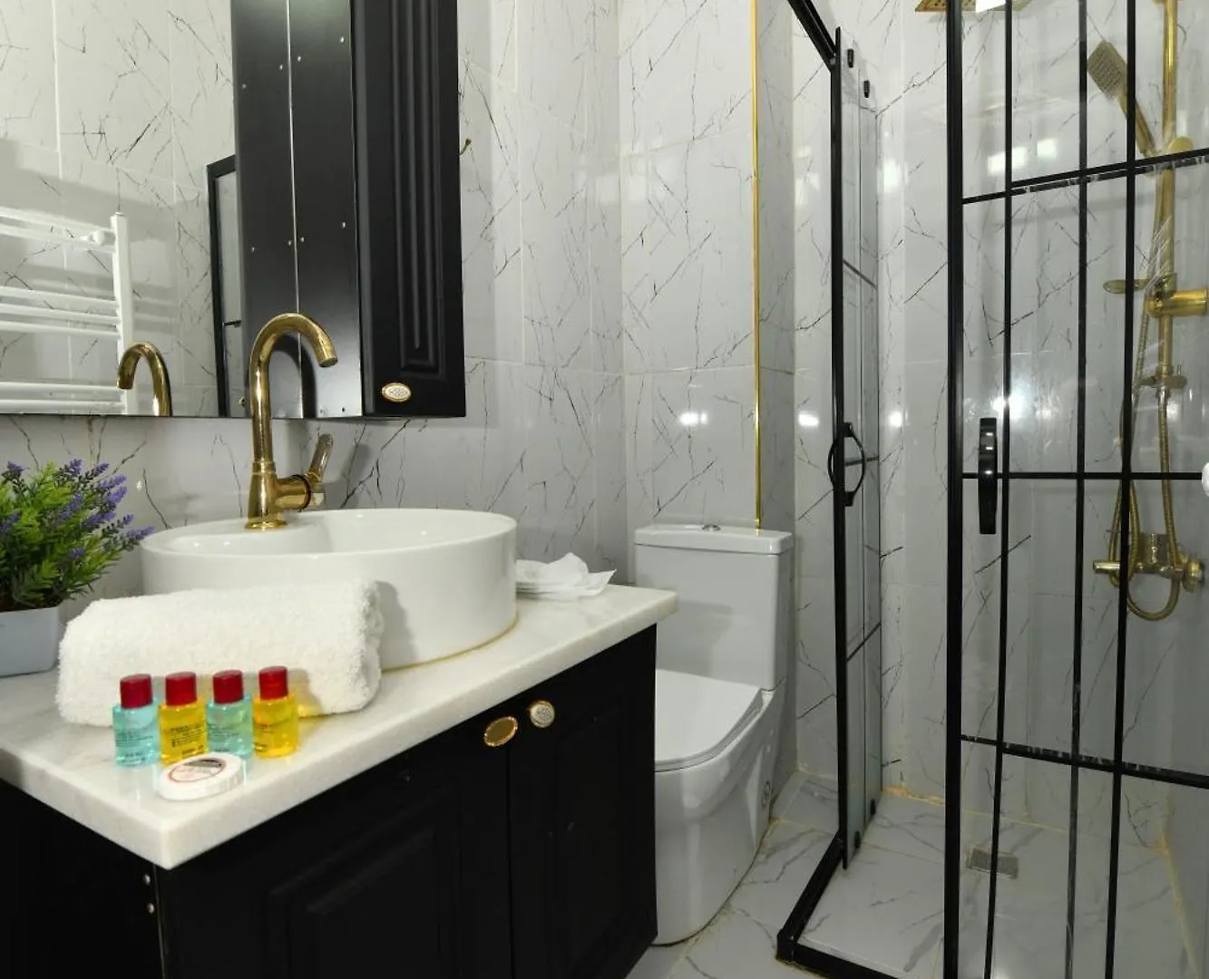 Istanbul Port Hotel Turecko